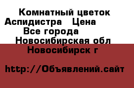 Комнатный цветок Аспидистра › Цена ­ 150 - Все города  »    . Новосибирская обл.,Новосибирск г.